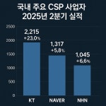 KT·네이버·NHN 2분기 클라우드 매출 성장 지속...하반기 AX 수요 확대 기대