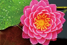 비가 오면 그곳에 가고 싶다, 빗소리 듣기 좋은 장소