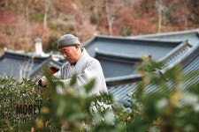 사람과 땅, 농업유산 2- 하동 전통차농업