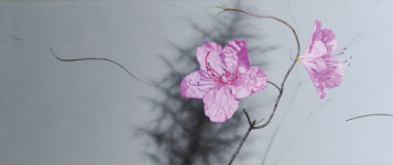 추상과 구상의 경계에 핀 통찰의 꽃