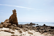 [big story]코로나19에 ‘에코 힐링’ 찾아 삼만리