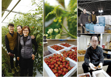 [Artisan] 대한장인(大韓匠人) 12. 브랜딩을 만난 유기농법, 땅을 살리다, 유기농 장인 원승현