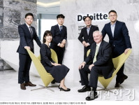 안진회계법인 글로벌최저한세 전문팀 글로벌 최저한세 초읽기...기업 택스 플랜 다시 짠다