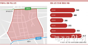 [빅데이터 상권분석]명동 상권, 상승세 뚜렷...숙박·서비스업이 반등 주역