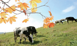 [뉴스 쏙 시사 쑥] ‘1등 기업’에게 혁신은 필수