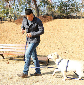 '반려견 훈련사' 강형욱을 만나다