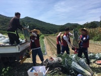 충북대 경영대학 학생회 ‘이프유’, 2박 3일간 농촌봉사활동 참여
