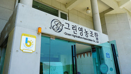 한호전 호텔바리스타&소믈리에학과정 르방디에프리미엄클래스 대부도 그랑꼬또 와이너리 특강 진행