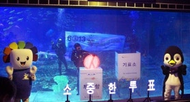 SEA LIFE 부산아쿠아리움, 7일(목) 선관위와 이색 투표 독려 이벤트 실시