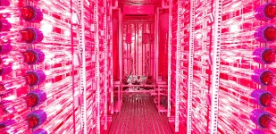 전북대 LED-농생명융합기술연구센터 연구팀, 국내종균 활용 노화억제 아스타잔틴 생산 시스템 개발
