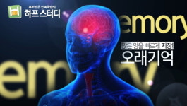 왕초보 기초 생활 영어회화부터 해외여행 회화까지···하프스터디, 영어 공부 혼자하는 법 제시