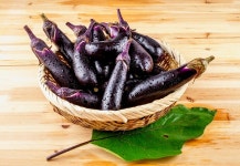 수험생 눈 건강 보라색이 지킨다...가지-빌베리-자색고구마 천연식품 주목