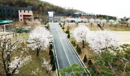 수만휘기숙학원, 재수조기선발반 개설