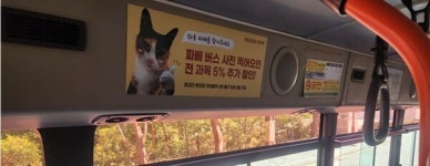 파고다어학원 부산대학원점 2024년 하반기 버스광고 진행
