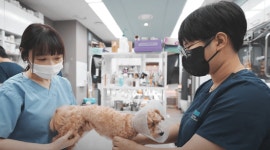 부천 옥길아라동물의료센터, 2025 한국브랜드 소비자평가 대상 수상