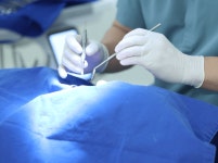 종로 서울에이스치과의원 이전 개원 환자 맞춤 진료 진행