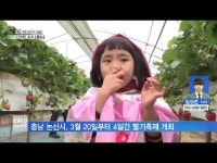  간추린 소식 [충남]
