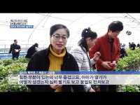  [세종교육온소식] 2019 우리가족 놀이터