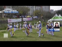  벚꽃마을 정림동, 4월 벚꽃축제
