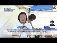 시민들과 함께하는 탄동길 걷기 단풍축제
