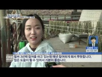 CMB, 세종지역민에게 온기를 전하다