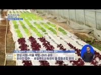 랜선으로 만나는 로컬푸드