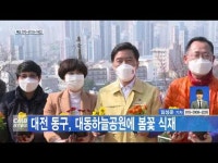 대전 동구, 대동하늘공원에 봄꽃 식재