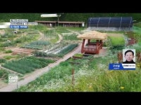 도시농업 케어팜 주말농장