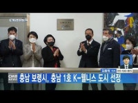 충남 보령시, 충남 1호 K-웰니스 도시 선정