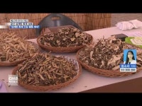 함께하는 초복 맞이, 금산 삼계탕축제 성료
