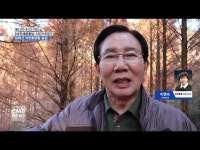 명품 메타세쿼이아 숲길을 걷다
