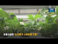 유휴시설이 논산딸기 스마트팜으로!