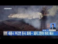 세종시 부강면 돈사 화재… 돼지 2천여 마리 폐사