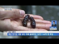 간추린 소식[충남]