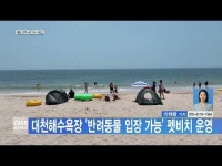 대천해수욕장 반려동물 입장 가능 펫비치 운영