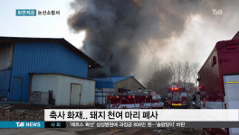 논산서 축사 화재…돼지 천여 마리 폐사