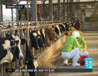 AI에 이어 구제역까지…산 너머 산