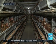 천수만 철새도래지 한가운데 양계농장이?