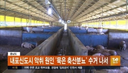 내포신도시 악취 원인인 묵은 축산분뇨 수거나서