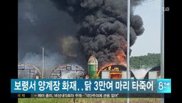 보령서 양계장 화재…닭 3만여 마리 타죽어