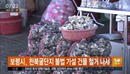보령시, 천북굴단지 불법가설 건물 철거 나서