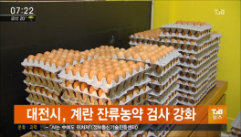 대전시, 계란 잔류농약 검사 강화