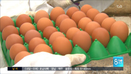 대전.충남 9개 농장, 주말에도 회수·폐기작업 이어져