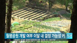 월평공원 개발 여부 이달 안으로 결정 가능성 커