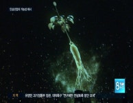 금산세계인삼엑스포 32일간 대장정