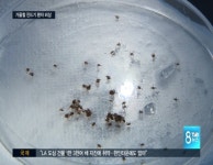 가을철 진드기 환자 비상