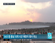 AI확산 우려로 해넘이·해맞이 잇따라 취소