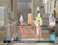 천안 AI 공포..충남 확산 우려