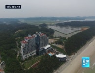 안면도 개발 또 악재