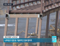 예당호 개발사업…시작부터 삐끗?